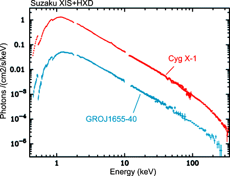 Cyg X-1 and GRO J1655-40