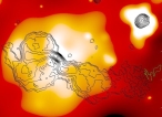 XMM and X-ray image of 3C66b