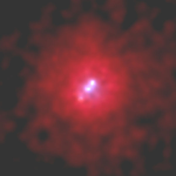 3C295 CHANDRA Image