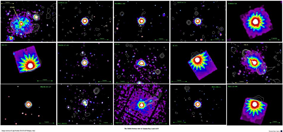 XMM-Newton galaxy of gamma-ray loud agn