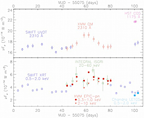 Multiwavelength Campaign of Observations of the AGN MRK 509