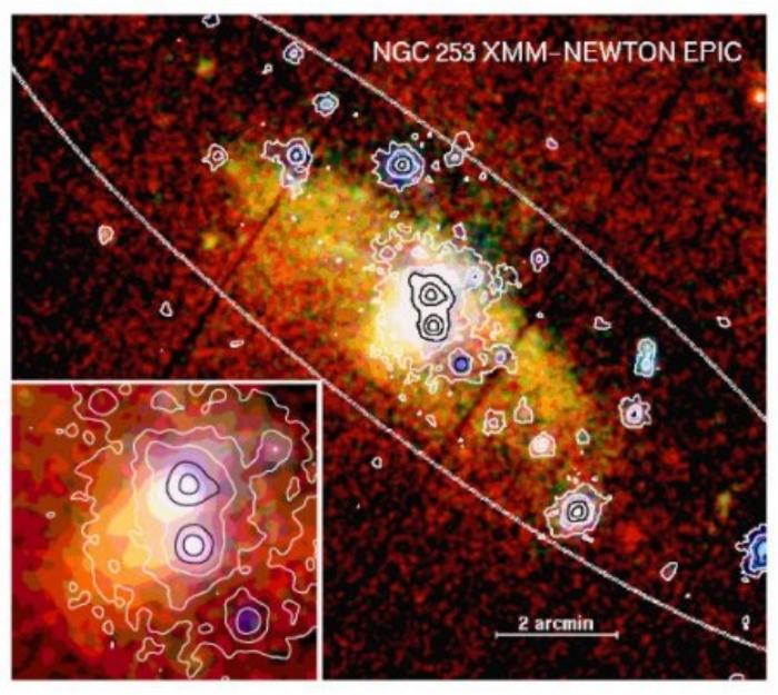 XMM/NGC 253