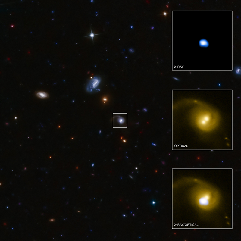 Chandra/HST images of CID 42