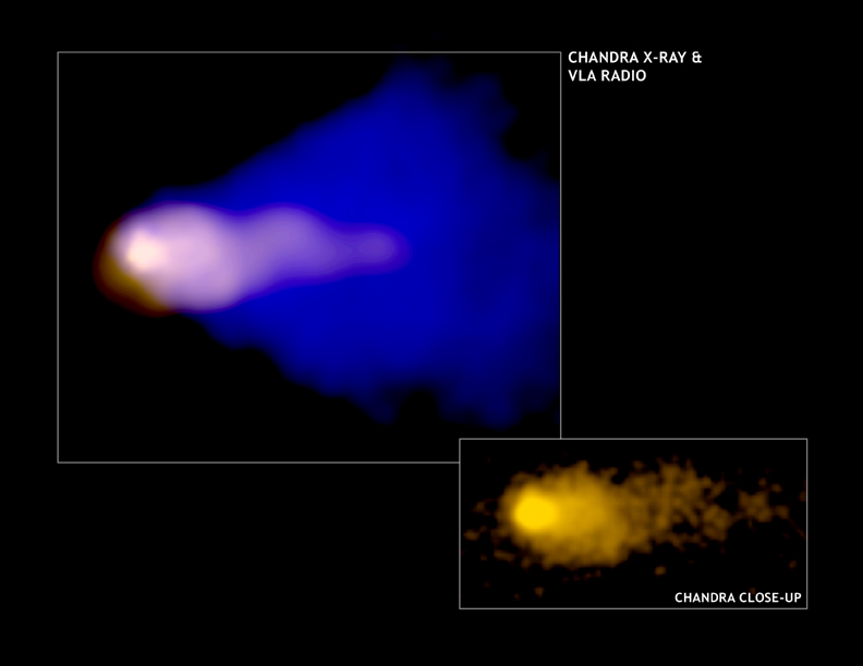 radio and X-ray image of the Mouse