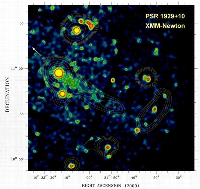 XMM Image of psr B1929+10