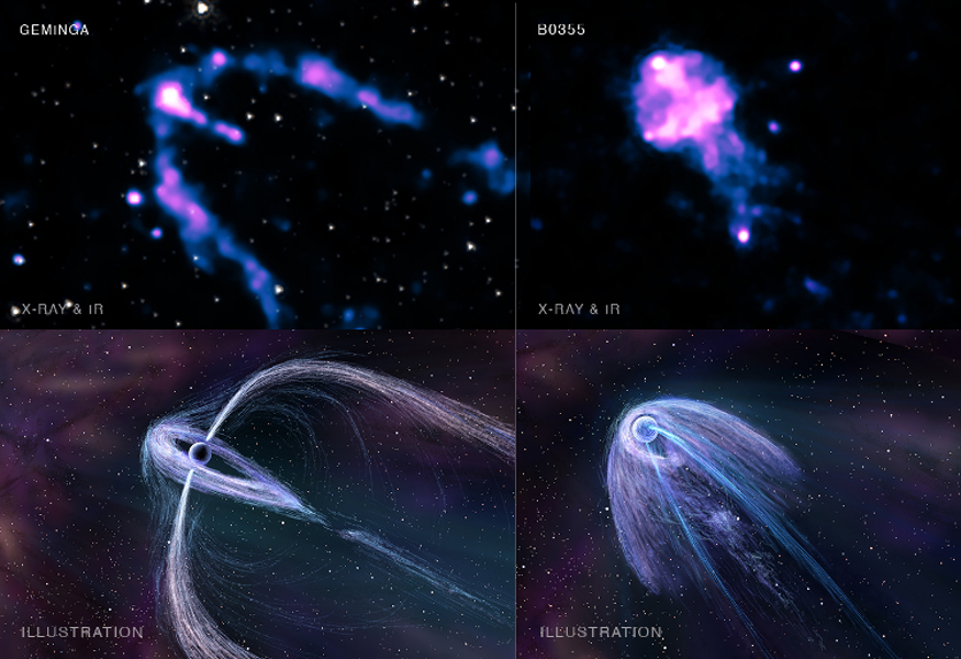 Chandra observations of pulsar wind nebulae and illustrations showing the derived wind geometry