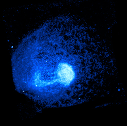 X-ray image of intracluster gas in the Abell 1775 cluster from Chandra