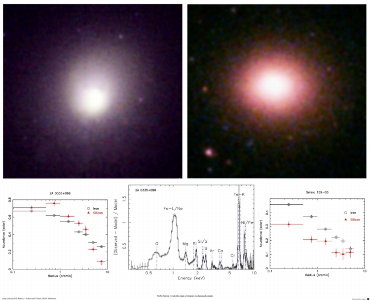 XMM cluster abundances