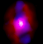 Chandra and VLA image of MS 0735.6+7421