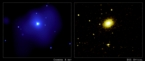 Chandra image of a halo around NGC 4555