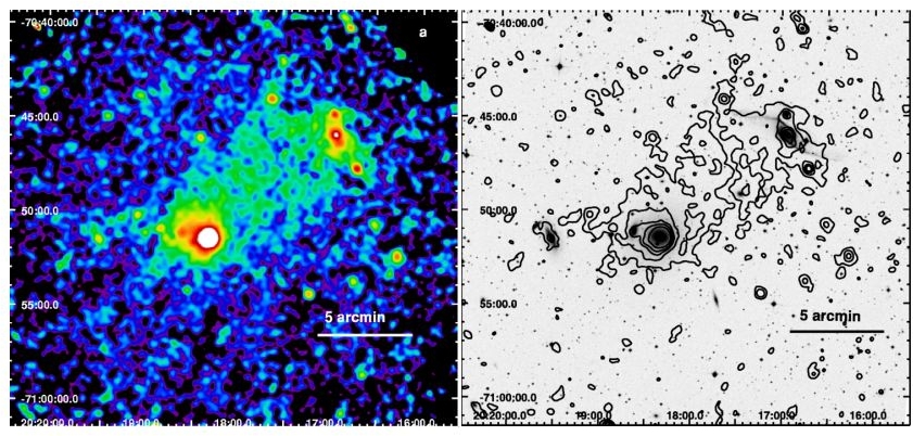 XMM Newton Image of the Pavo Group