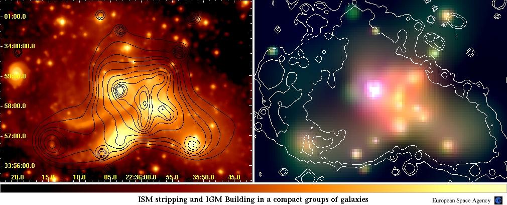 XMM & R-band imaging of Stephan's Quintet