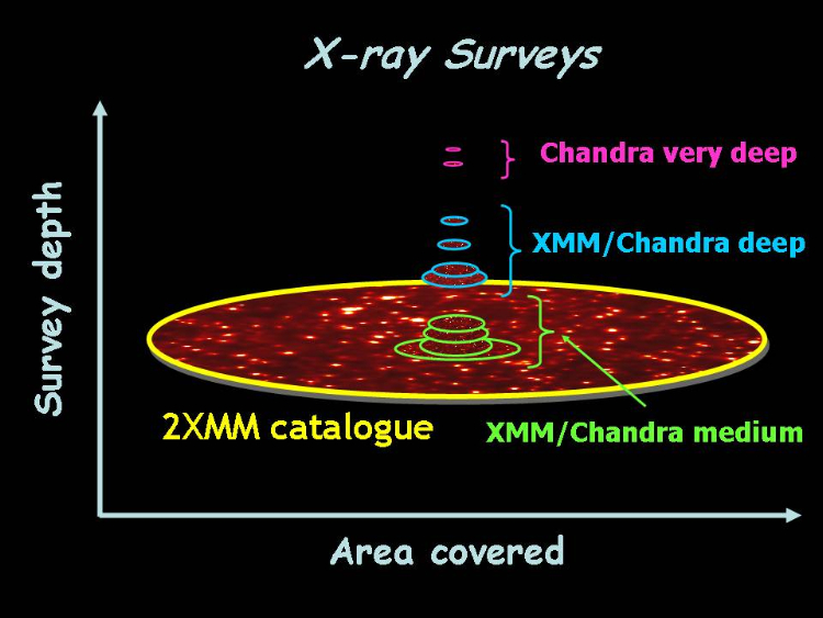 Second XMM serendipitous source catalog