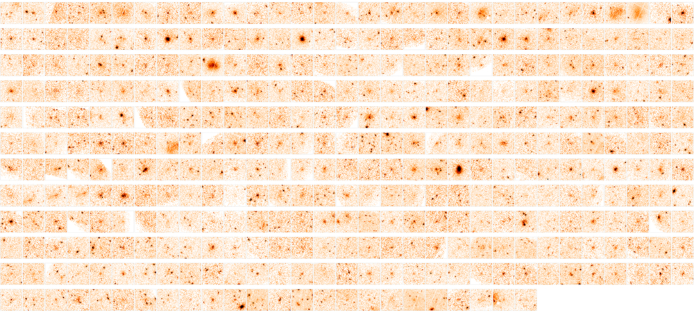 365 clusters in the XXL Survey of clusters of galaxies