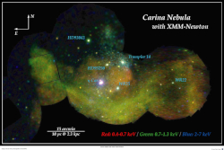 20th Anniversary Color X-ray image of the Carina Nebula by XMM