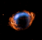 VLA and Chandra composite of G1.9+0.3.