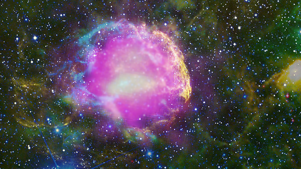 Fermi gamma-ray and multiwavelength image of the JellyFish Supernova remnant