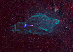 Composite Radio, IR and X-ray image of the Manatee Nebula/SS 433