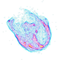 Supernova remnant N132D as seen by Chandra's High Resolution Camera