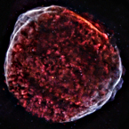 Chandra X-ray mosaic of SN 1006