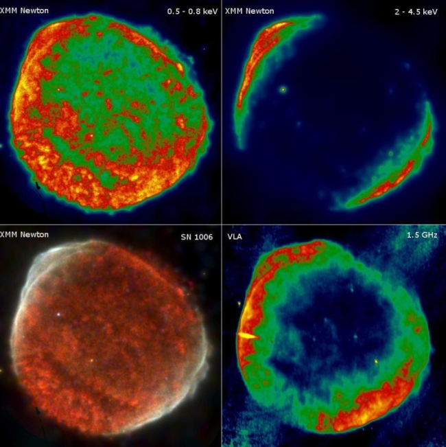 SN1006 as seen with XMM-Newton