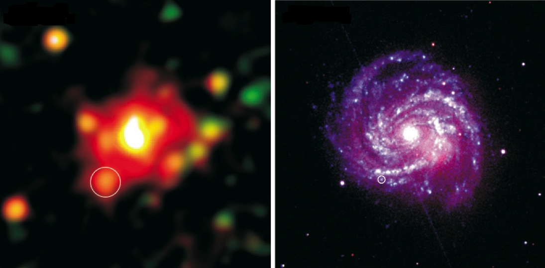 XMM-Newton observtion of SN 1979C