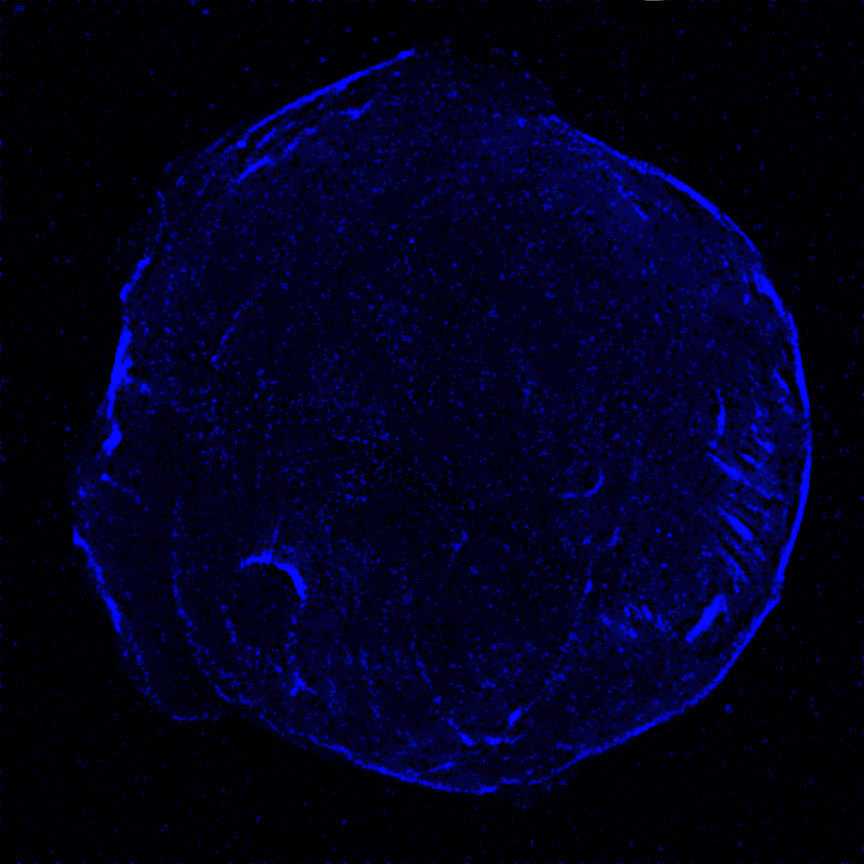 Chandra high energy X-ray image of Tycho SNR