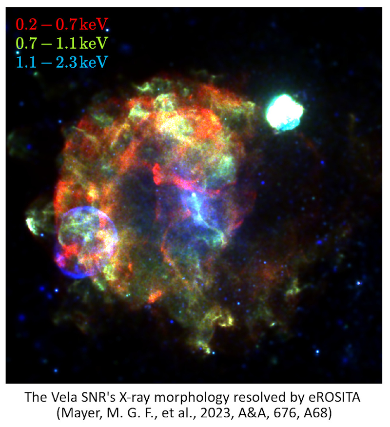 eROSITA image of Vela supernova remnant and associates