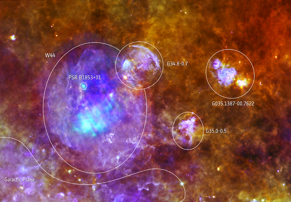 Herschel IR and XMM-Newton observation of W44 SNR