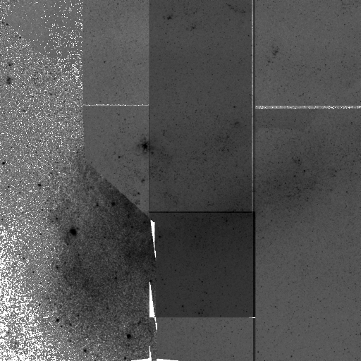 OPTICAL MAP 
OF THE LMC