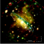 XMM-Newton observation of NGC 253