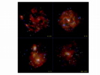 Quasi-Soft Sources found by Chandra