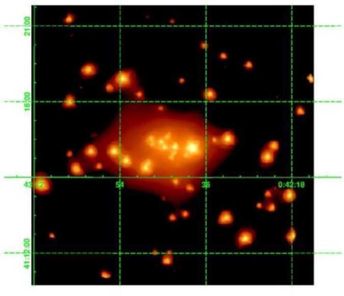 XMM-Newton/M31