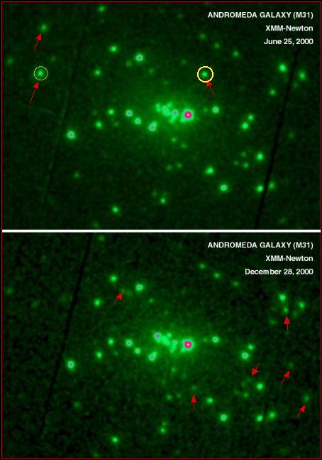 XMM source variations in M31