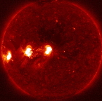 Hinode X-ray view of Cycle 23 spots