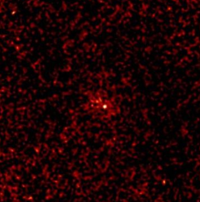 XMM observation of comet Tempel 1: Deep Impact!