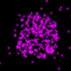 Chandra X-ray image of Mars