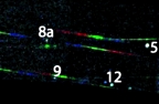 Chandra observation of Cyg OB2