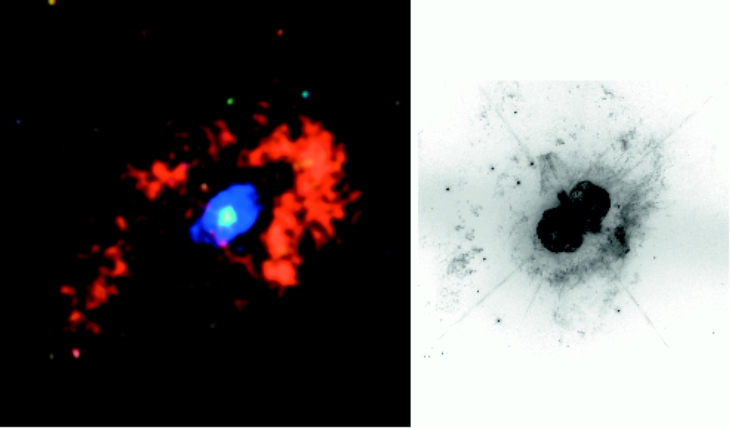 Chandra view of the Homunculus Nebula