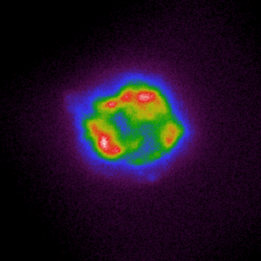 IXPE first light false-color X-ray image of the Cas A supernova remnant