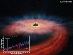 Artist rendering of a disrupted star being accreted by a black hole; inset: X-ray spectrum showing the chemical composition of this material