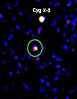 One of the fast X-ray transients detected by INTEGRAL