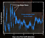 Lightcurve of a star swallowed by a supermassive black hole