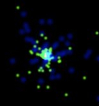 Extreme burst detected by Fermi, Swift and GROND