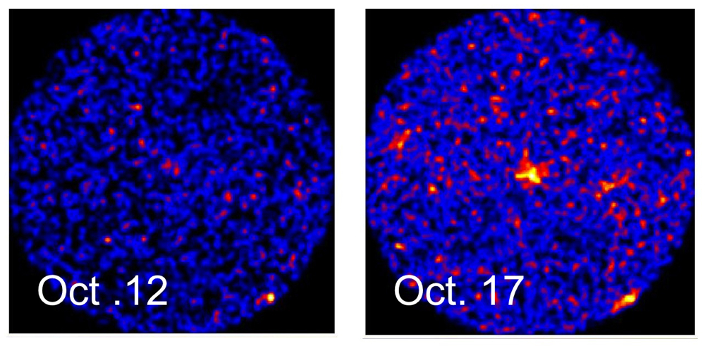 MAXI image of new X-ray Transient