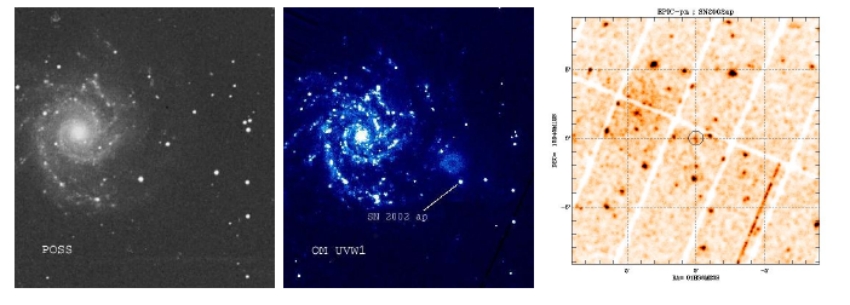 SN2002/XMM-Newton