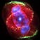 Cat's Eye Nebula