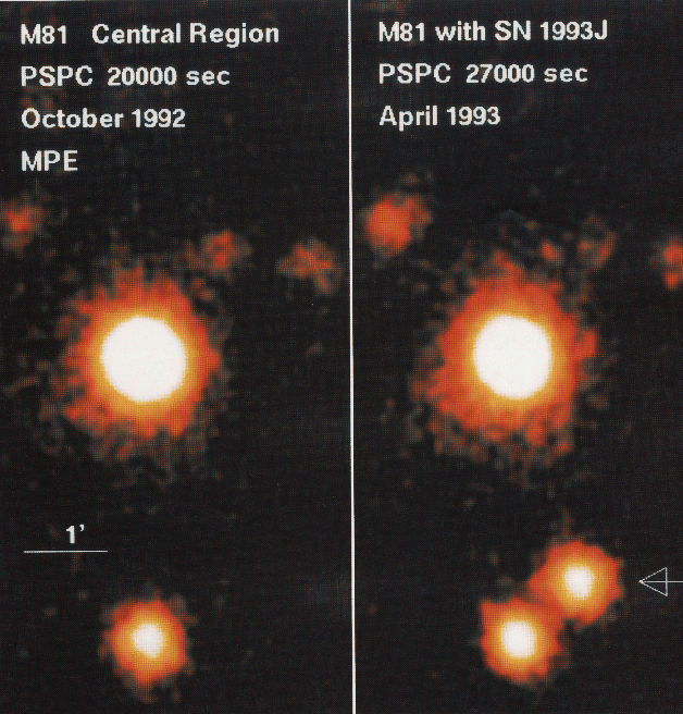 SN 1993J