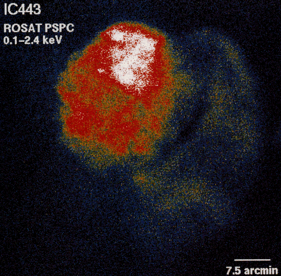 IC443