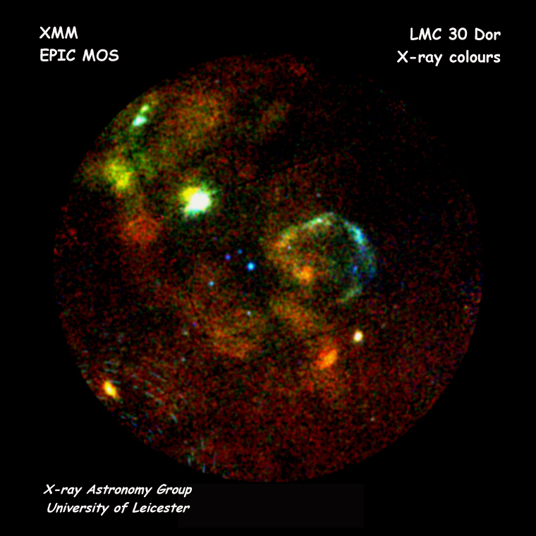 XMM-Newton MOS First Light - 30 Dor